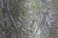 Thorns fibreglass roof work